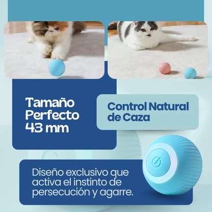 FastBall Para Perros y Gatos - Compra 1 y Llévate 2 GRATIS 🎁