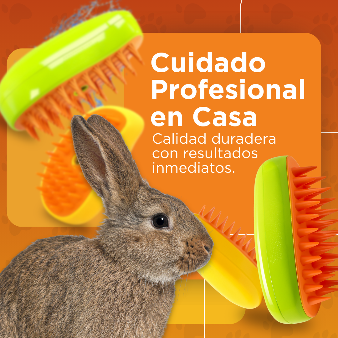 Petcare - Cepillo Ortopedico -  Compra 1 y Llévate 2 GRATIS 🎁